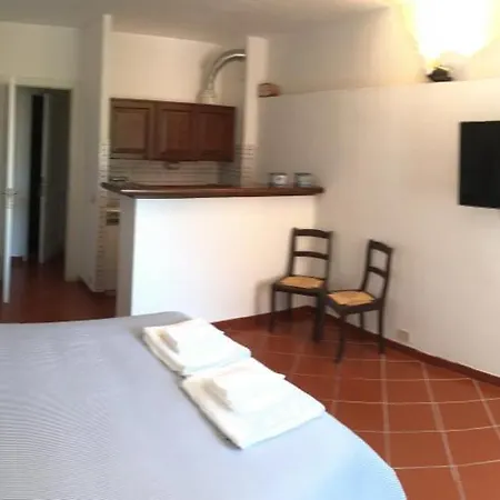 Casestate Starfish Manarola